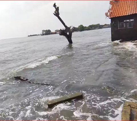 Dulunya Berjarak 1 Km dari Pantai, Desa di Pekalongan ini Kini Sudah Tenggelam oleh Air Laut