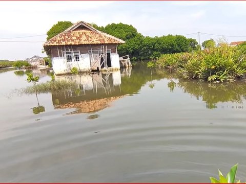 Dulunya Berjarak 1 Km dari Pantai, Desa di Pekalongan ini Kini Sudah Tenggelam oleh Air Laut