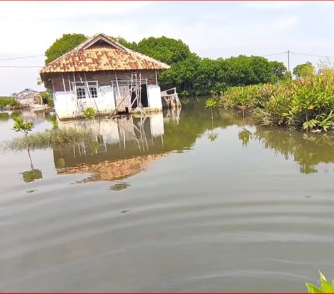 Dulunya Berjarak 1 Km dari Pantai, Desa di Pekalongan ini Kini Sudah Tenggelam oleh Air Laut