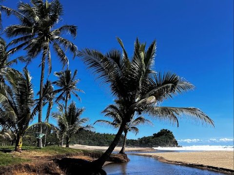 Pesona Pantai Wonogoro Malang, Pertemuan Sungai dan Laut Hasilkan Senja Menawan, Cocok Dikunjungi saat Kemarau