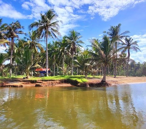 Pesona Pantai Wonogoro Malang, Pertemuan Sungai dan Laut Hasilkan Senja Menawan, Cocok Dikunjungi saat Kemarau