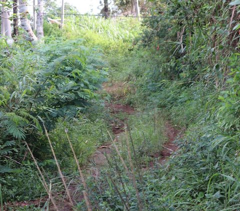 Mengunjungi Desa Wisata Kare Madiun, Bekas Jalur Gerilya Jenderal Sudirman yang Suguhkan Keindahan Alam Tak Tertandingi