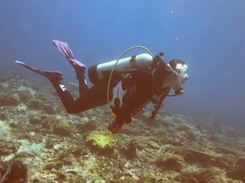 10 Potret Keseruan Natasha Wilona saat Menyelam di Labuan Bajo, Terkesima dengan Keindahan Bawah Lautnya