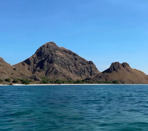 10 Potret Keseruan Natasha Wilona saat Menyelam di Labuan Bajo, Terkesima dengan Keindahan Bawah Lautnya