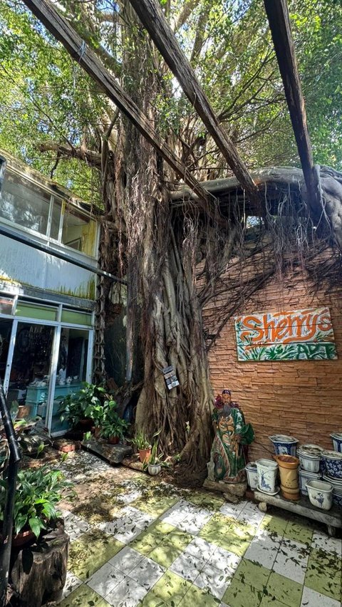 Explore the 'Flat' Island of Peng Chau, a Hidden Paradise in Hong Kong