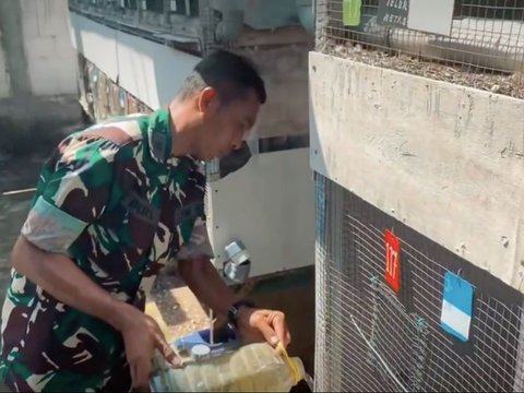 Kisah Lettu Budi Santoso, Prajurit TNI Sukses jadi Peternak Perkutut Penghasilan Perbulan Jutaan