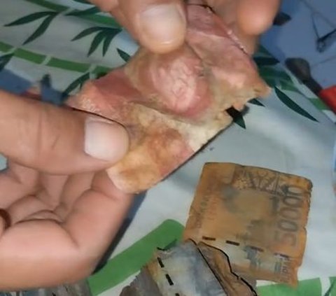 Wanita Ini Kaget Uang yang Ditabung di Celengan Rusak Parah, Begini Penampakannya