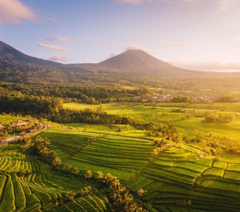 Udara Selalu Segar dan Tidak Pernah Panas, Intip Eksotisme Desa Jatiluwih Bali yang Jadi Warisan Budaya Dunia