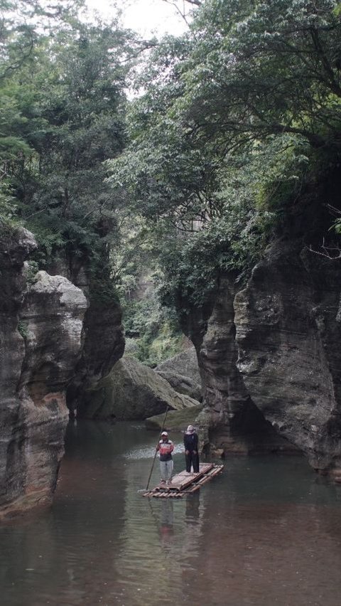 Jadi Inspirasi Nama Sungai Citarum, Intip Fakta Menarik Tanaman Tarum yang Kini Dilupakan