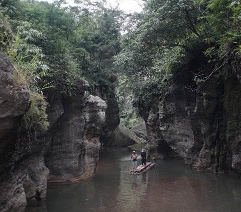 Jadi Inspirasi Nama Sungai Citarum, Intip Fakta Menarik Tanaman Tarum yang Kini Dilupakan