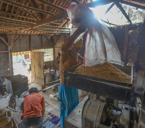 Pekerja menggiling gabah padi di Parung Panjang, Kabupaten Bogor, Jawa Barat, Selasa (9/7/2024). Badan Pusat Statistik (BPS) mencatat, harga beras naik lagi pada minggu pertama Juli 2024. Kenaikan harga beras ini tercatat sebesar 0,26 persen dibandingkan periode Juni 2024. Foto: Merdeka.com/Arie Basuki