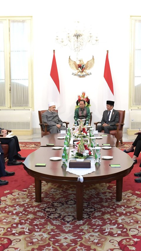 Jokowi dan Grand Syekh Al Azhar Kompak Dorong Gencatan Senjata Permanen di Gaza