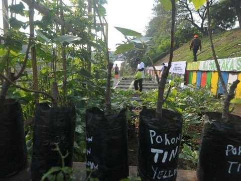 FOTO: Memanfaatkan Lahan Kosong Kanal Banjir Timur Menjadi Produktif dengan Menanam Bibit Sayuran dan Buah-Buahan