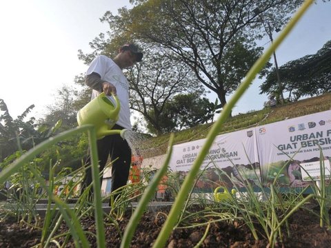 FOTO: Memanfaatkan Lahan Kosong Kanal Banjir Timur Menjadi Produktif dengan Menanam Bibit Sayuran dan Buah-Buahan