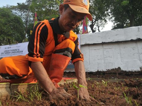 FOTO: Memanfaatkan Lahan Kosong Kanal Banjir Timur Menjadi Produktif dengan Menanam Bibit Sayuran dan Buah-Buahan