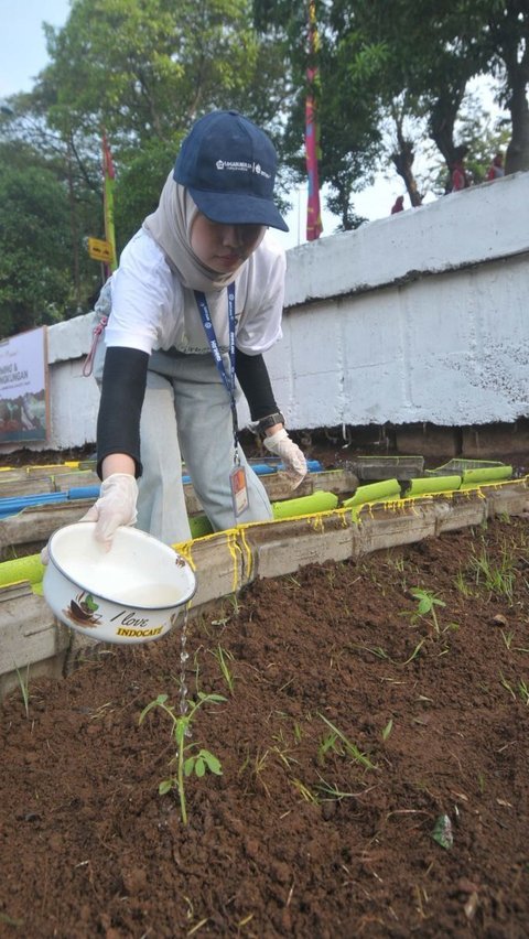 FOTO: Memanfaatkan Lahan Kosong Kanal Banjir Timur Menjadi Produktif dengan Menanam Bibit Sayuran dan Buah-Buahan