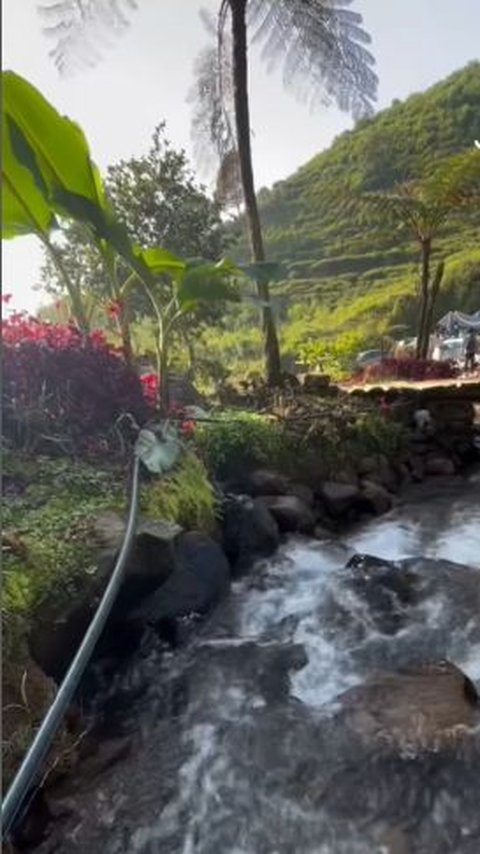 Ada Tempat Camping Syahdu di Ciwidey, Latarnya Kebun Teh dan Curug yang Bikin Betah