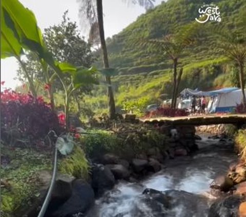 Ada Tempat Camping Syahdu di Ciwidey, Latarnya Kebun Teh dan Curug yang Bikin Betah