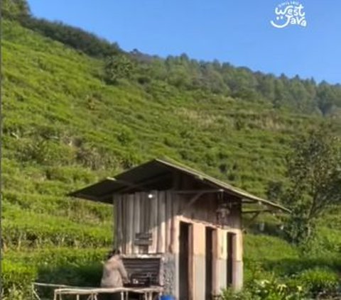 Ada Tempat Camping Syahdu di Ciwidey, Latarnya Kebun Teh dan Curug yang Bikin Betah