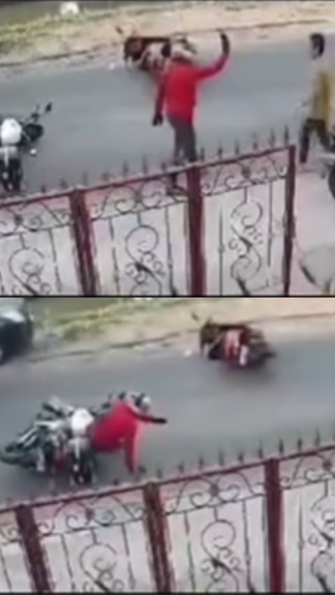 Momen Viral Tabrakan Motor vs Motor, Sikap Pengendara Malah Ramai Dipuji