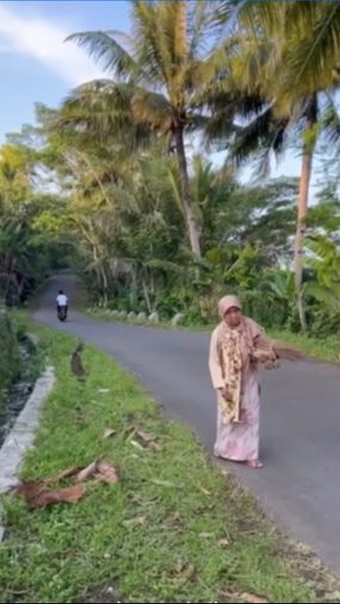 Kisah Pilu Mak Eroh, Hidup Sendiri Jualan Sapu Sehari Hanya Laku 1, Harganya Jadi Sorotan<br>