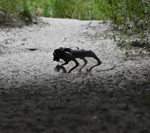 FOTO: Strategi Baru Perang Lawan Rusia, Ukraina Kerahkan Robot Anjing Canggih di Garis Terdepan