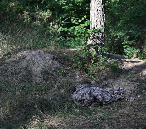 FOTO: Strategi Baru Perang Lawan Rusia, Ukraina Kerahkan Robot Anjing Canggih di Garis Terdepan