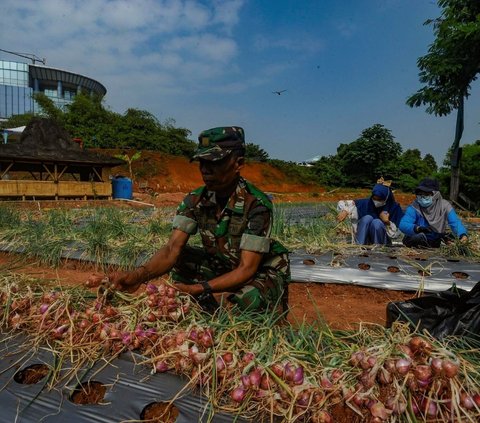 FOTO: Keceriaan Anak-Anak Sekolah Panen Bawang Bersama Anggota TNI di Depok