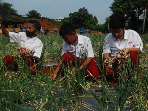 FOTO: Keceriaan Anak-Anak Sekolah Panen Bawang Bersama Anggota TNI di Depok