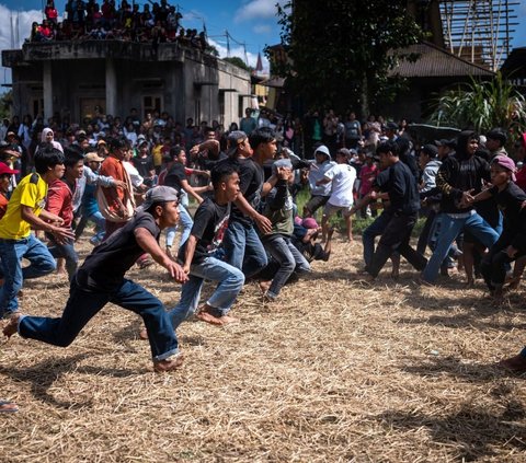 FOTO: Melihat Tradisi Sisemba, Duel Kaki Mendebarkan di Tana Toraja