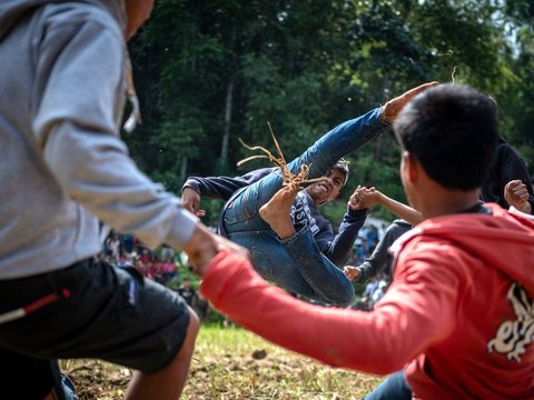 FOTO: Melihat Tradisi Sisemba, Duel Kaki Mendebarkan di Tana Toraja