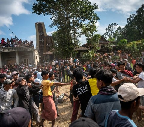 FOTO: Melihat Tradisi Sisemba, Duel Kaki Mendebarkan di Tana Toraja