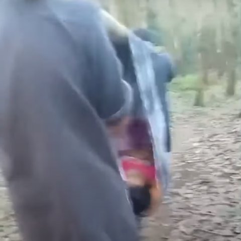 Akibat Jalan Rusak dan Tak Bisa Dilewati Kendaraan, Bocah Sakit Ini Terpaksa Ditandu Melintasi Hutan
