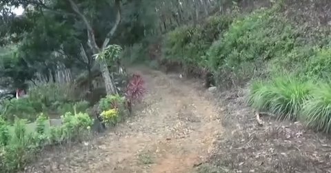 Akibat Jalan Rusak dan Tak Bisa Dilewati Kendaraan, Bocah Sakit Ini Terpaksa Ditandu Melintasi Hutan