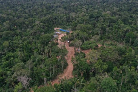 Suku Terasing di Pedalaman Amazon Serang Pembalak Liar dengan Panah dan Busur, Tak Ingin Tanah Leluhur Mereka Diganggu