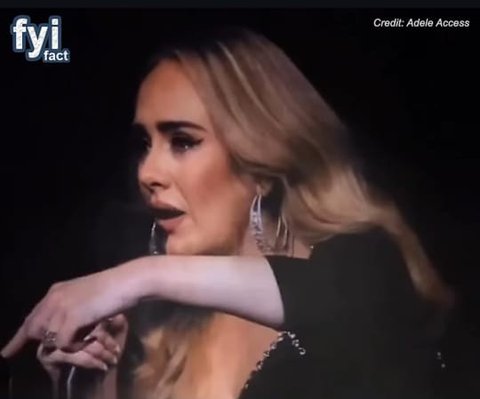 Awalnya Menyenangkan, Adele Tiba-tiba Menangis Penuh Emosional di Tengah Konser karena Pria ini