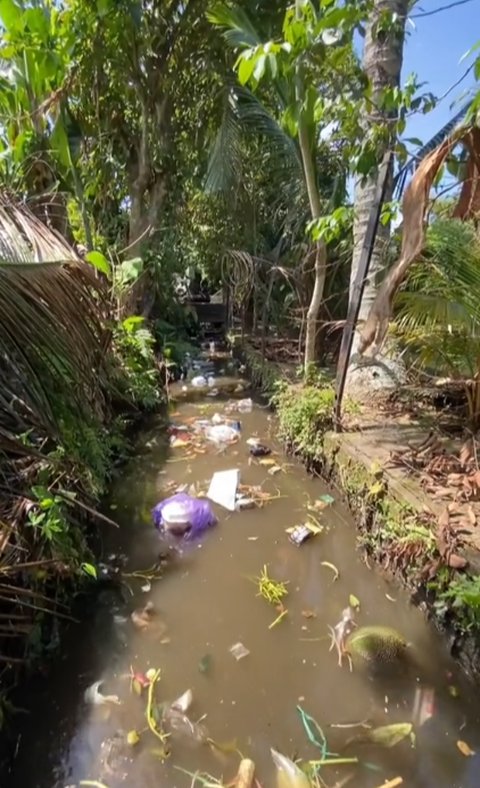 Viral Aksi Pria Turun Tangan Bersihkan Sampah di Kali, Curi Perhatian