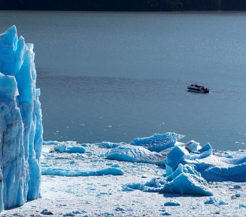 Pengalaman mengunjungi Gletser Perito Moreno memberikan kesan mendalam bagi para wisatawan, yang tidak hanya dapat menikmati pemandangan indah, tetapi juga berkesempatan untuk melakukan berbagai aktivitas seperti trekking, berlayar di danau glasial, dan menjelajahi jalur-jalur alam yang menantang. Foto: Walter Diaz / AFP