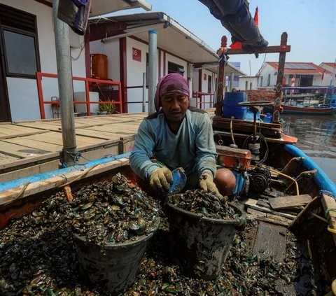 Dengan adanya inisiatif seperti ini, diharapkan kesejahteraan para nelayan di seluruh Indonesia dapat terus meningkat, sehingga mereka dapat terus berkontribusi pada perekonomian negara tanpa harus khawatir akan keselamatan dan kenyamanan tempat tinggal mereka. Foto: merdeka.com / Arie Basuki