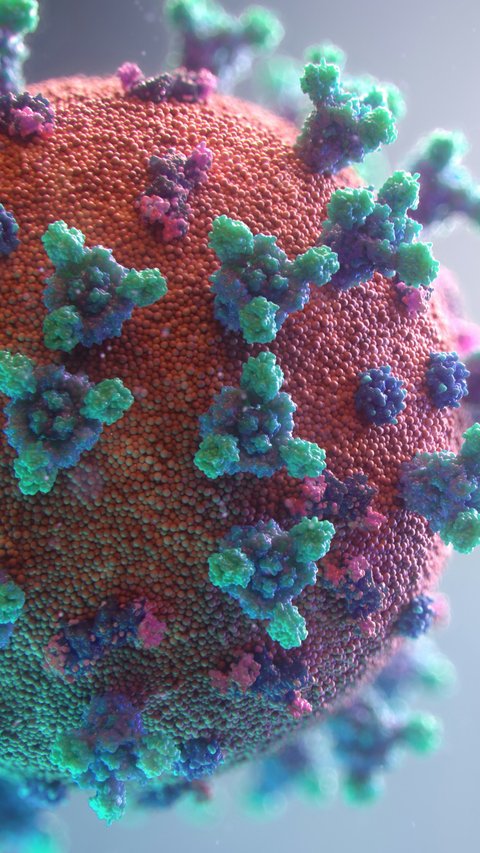 Virus
