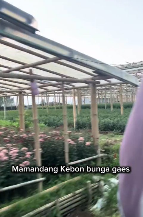 Naik Bis hingga LRT, Perjalanan Pria Bekerja dari Cianjur ke Jakarta Ini Curi Perhatian