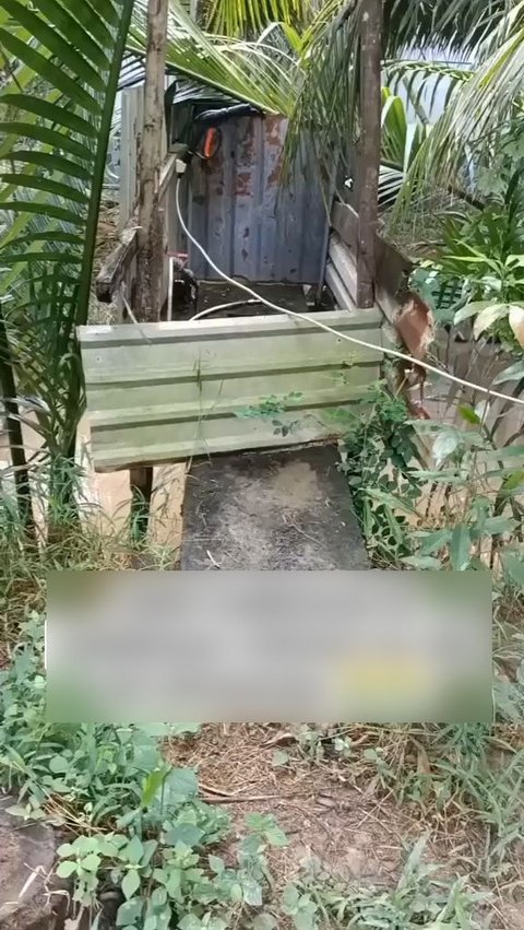 This Squatting Toilet Is Spine-Chilling, Located in the Middle of the Forest but Equipped with High-Pressure Jet Shower: 'One Spray and Hemorrhoids Are Healed'