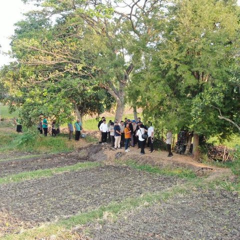 Langkah Cepat Kementan Menyelamatkan kekeringan Di Pasuruan