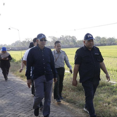 Langkah Cepat Kementan Menyelamatkan kekeringan Di Pasuruan