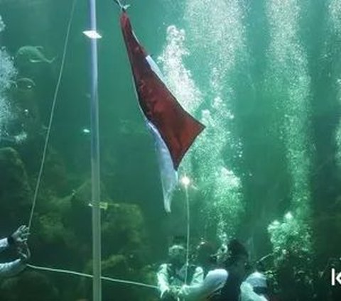 8 Vintage Photos of Aaliyah Massaid as a Flag Bearer of the Red and White Underwater, Still a Very Innocent Teenager