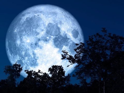 Jangan Sampai Terlewat! Super Blue Moon yang Langka Akan Mencapai Puncaknya Dini Hari Nanti