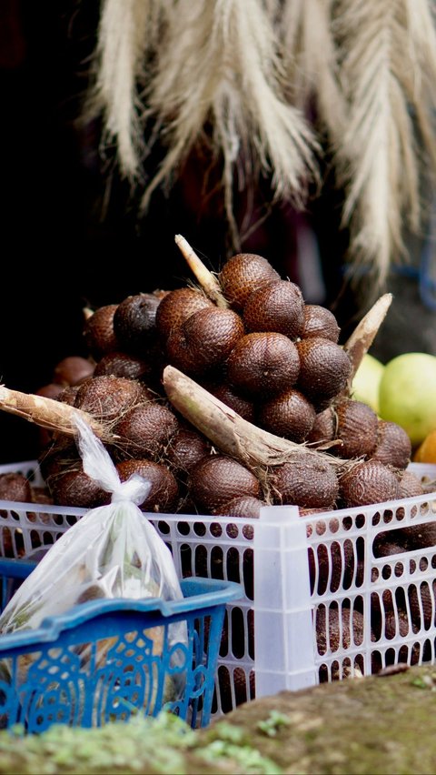 <b>Manfaat Salak untuk Ibu Hamil</b>