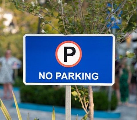 50 Funny Parking Quotes that Represent Feelings, Perfect for Jokes While Chatting with Friends