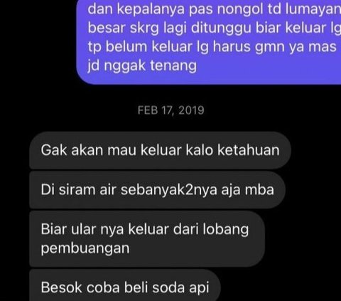 Wanita Ini Iseng Curhat ke Panji Petualang Soal Ular Cobra di Rumah, Begini Responsnya yang Banjir Pujian