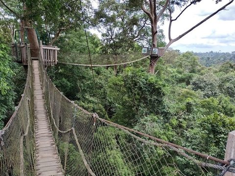 10 Tempat Wisata di IKN yang Menarik Dikunjungi, Jangan Sampai Terlewat